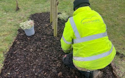 Planting Season Draws To A Close